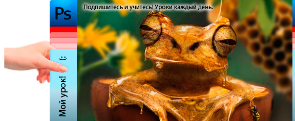 Лягушка в меду: стеклянный эффект - уроки фотошоп Лягушка в меду: стеклянный эффект - уроки фотошоп
